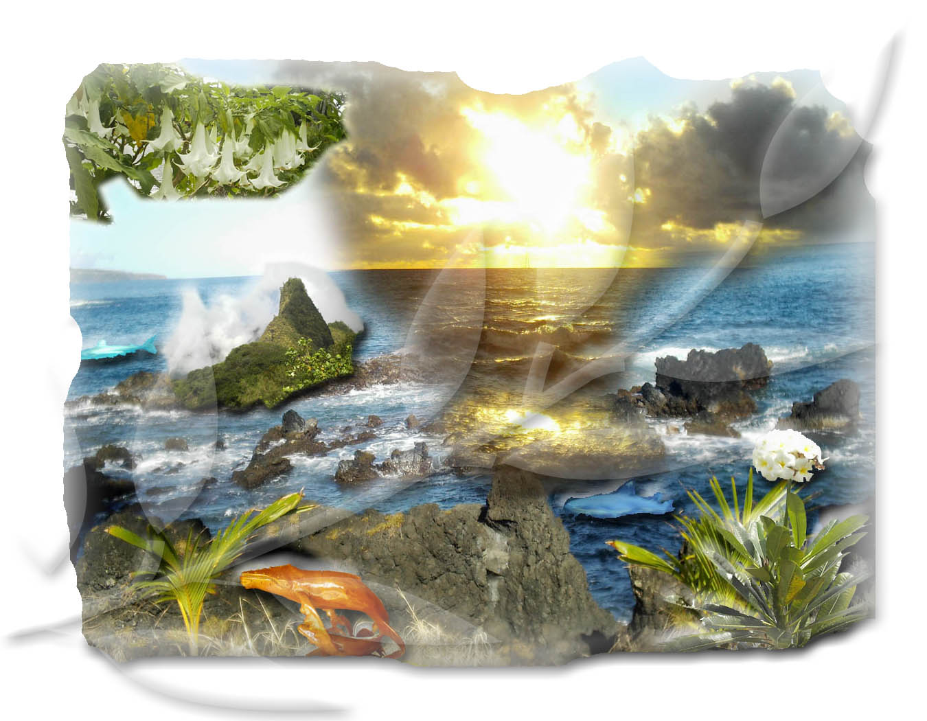 Vignette of Maui Menu
